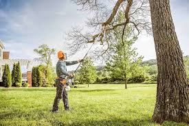 How Our Tree Care Process Works  in  Tallapoosa, GA