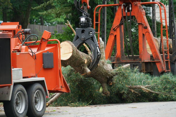 Lawn Watering Services in Tallapoosa, GA